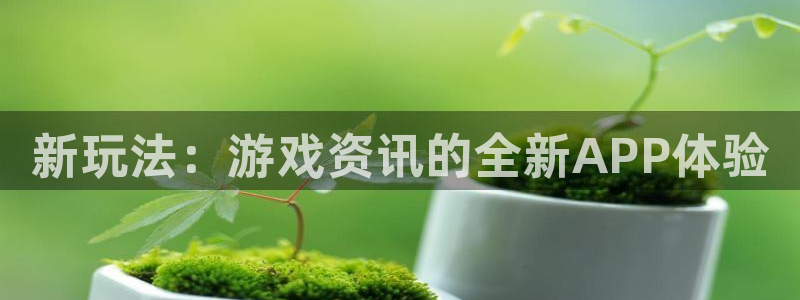 优贝娱乐平台官方网站：新玩法：游戏资讯的全新APP体验