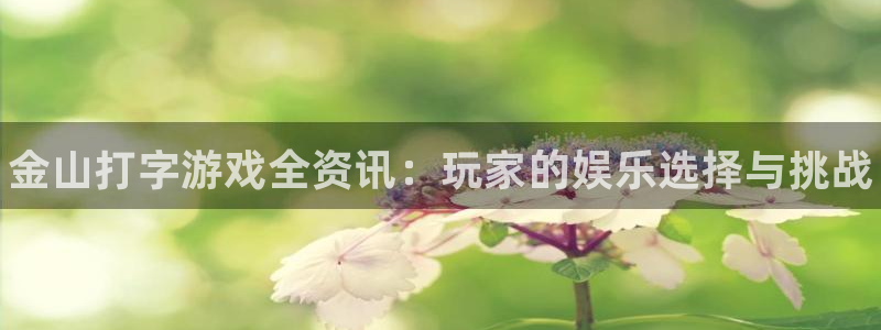 优贝娱乐注册登录：金山打字游戏全资讯：玩家的娱乐选择与挑战
