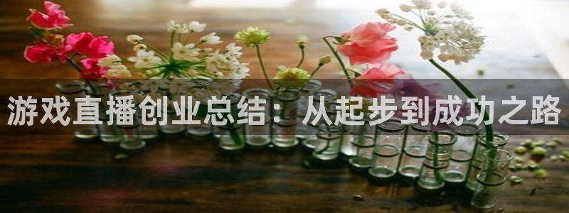优贝娱乐注册登录：游戏直播创业总结：从起步到成功之路
