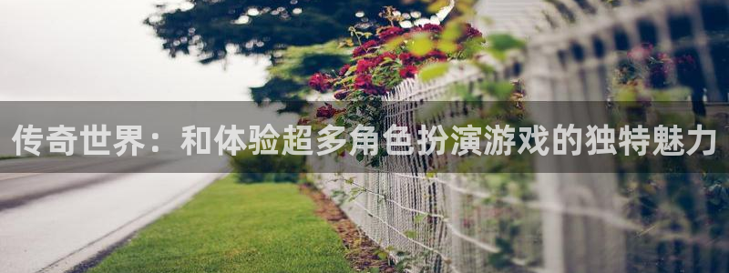 优贝娱乐什么意思：传奇世界：和体验超多角色扮演游戏的独特魅力