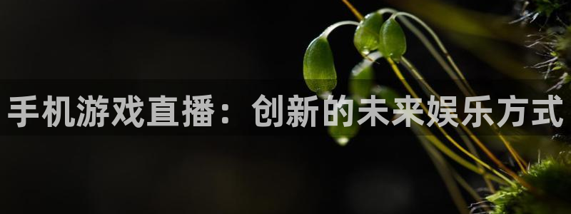 优贝娱乐网页登录入口下载：手机游戏直播：创新的未来娱乐方式