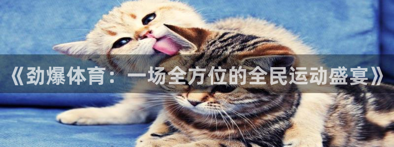 雨燕体育免费赛事直播