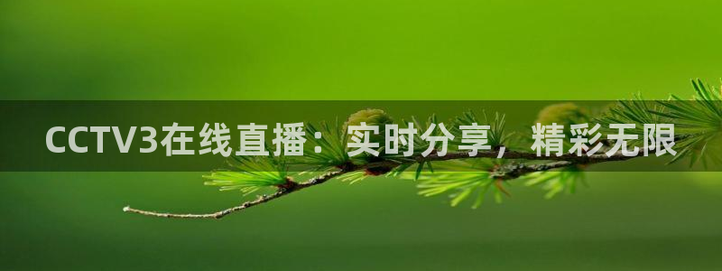 雨燕篮球直播在线播放：CCTV3在线直播：实时分享，精彩无限